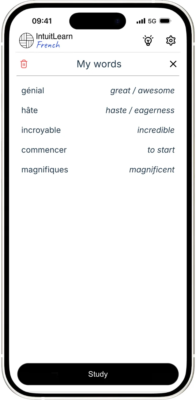 French vocabulary flashcard review system (SRS)